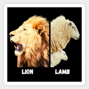 Fierce lion and gentle lamb with mother Magnet